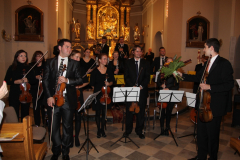 Jesien-Organowa-2012-12